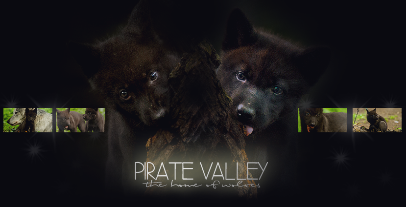 PirateValley*      - Legend of the myths 